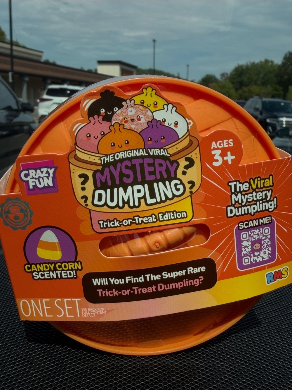 Mystery Dumpling Trick-or-Treat SCENTED Orange Candy Corn VIRAL RMS
